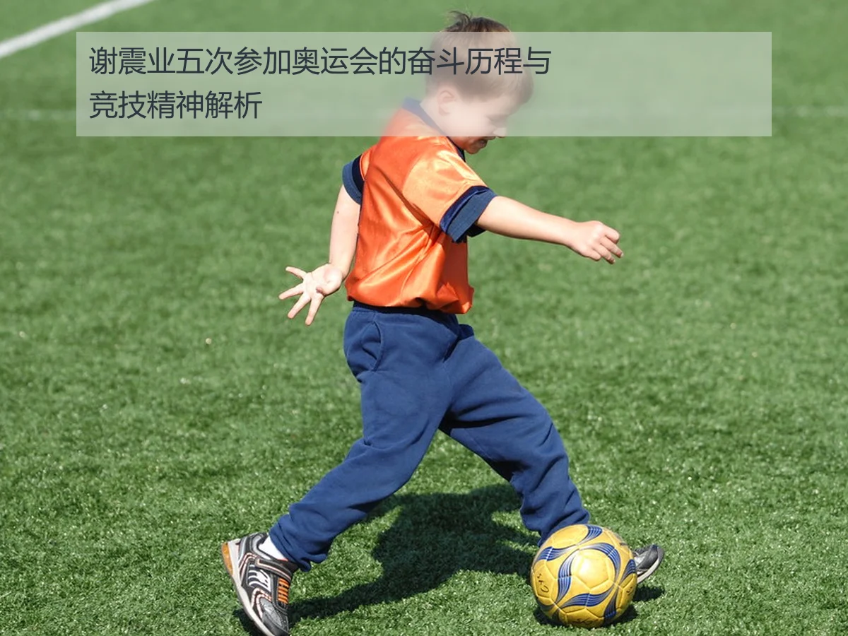 谢震业五次参加奥运会的奋斗历程与竞技精神解析