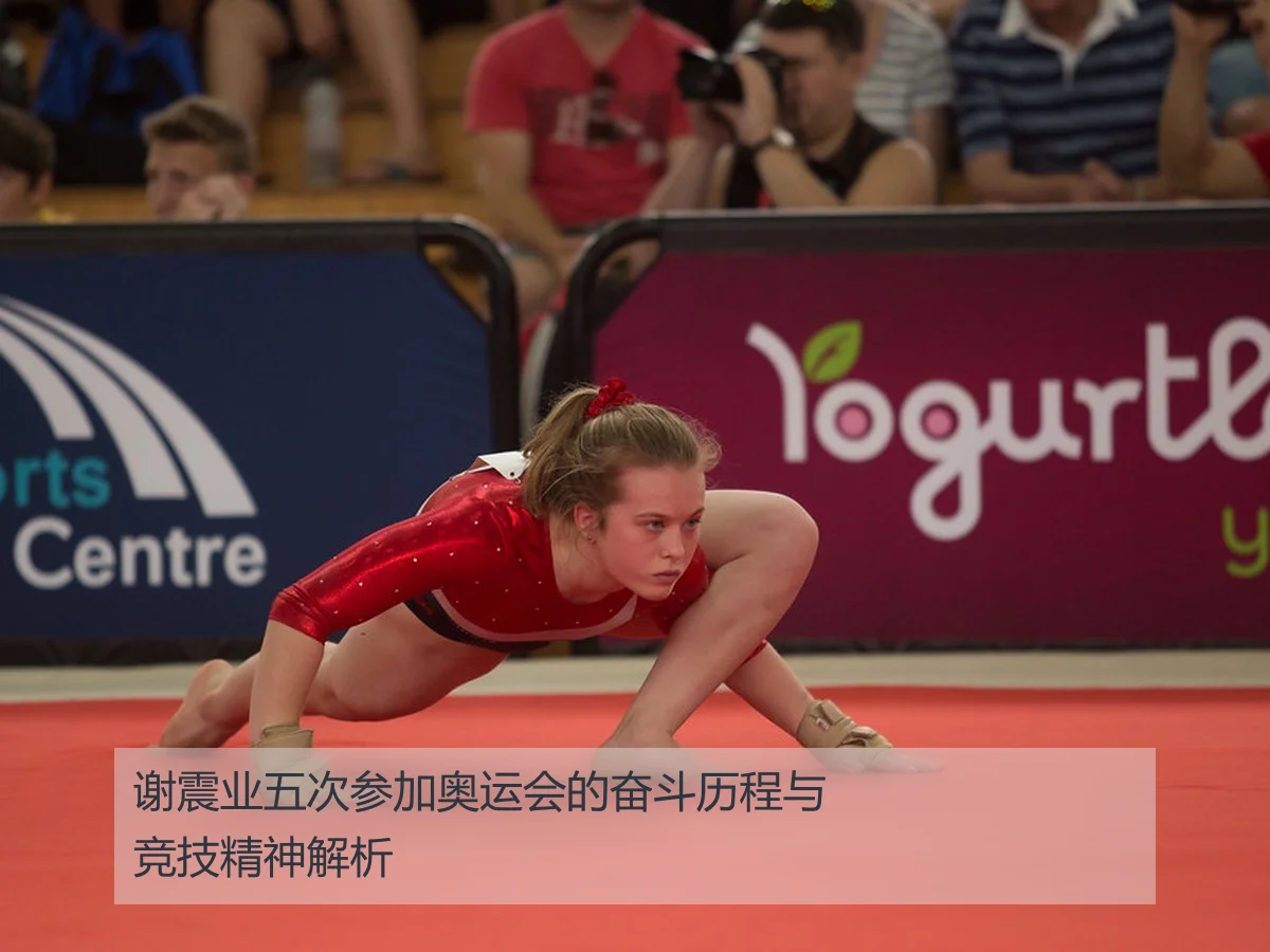 谢震业五次参加奥运会的奋斗历程与竞技精神解析